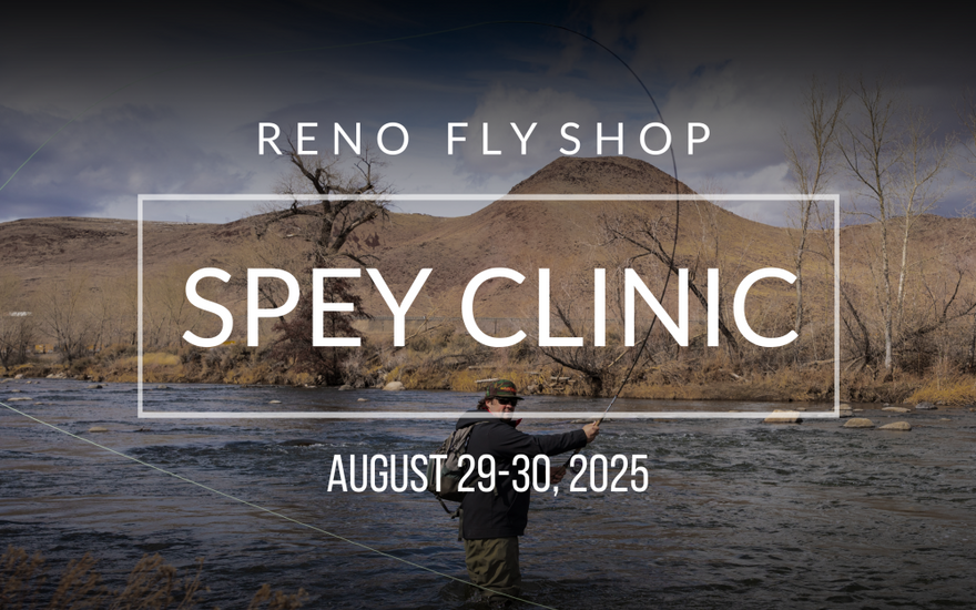 Steelhead Spey Clinic w/ Charlie Robinton | August 29-30, 2025
