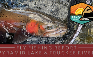 Fly fishing report | pyramid lake & truckee river | mid february 2023 | if4 march 4 at Revision brewing co | integrated switch line available now