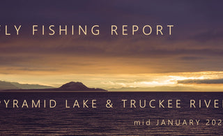Fly Fishing Report | Pyramid Lake & Truckee River | mid January 2024