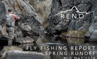 FLY FISHING REPORT | TRUCKEE RIVER | MID MAY 2024 | ANNOUNCING SUMMER CLASS SCHEDULE