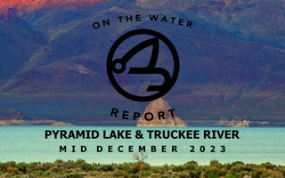 On-the-Water Report | Pyramid Lake and Truckee River | mid December 2023
