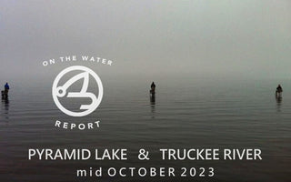 On-the-Water Report | Pyramid Lake and Truckee River | mid October 2023 | Happy Hour 10/19 at 6 - Golden Dorado in Argentina