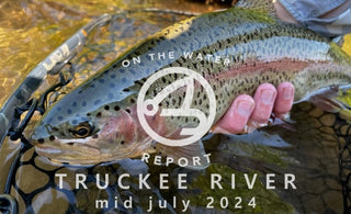 On-the-Water Report | Truckee River | mid July 2024
