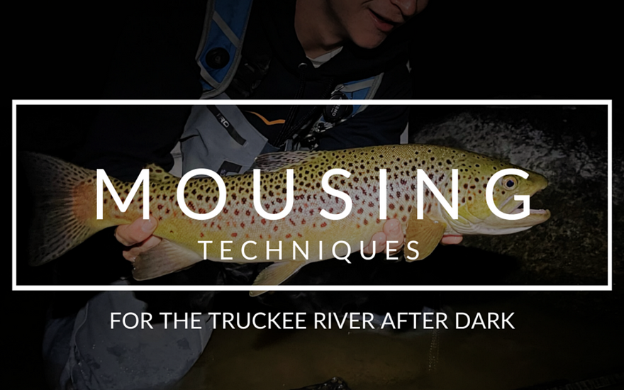 Mousing for Monsters: Night Fly Fishing on the Truckee River