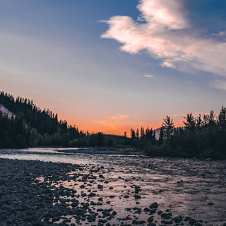 On-the-Water Report | Truckee River & Walker River | early October 2025