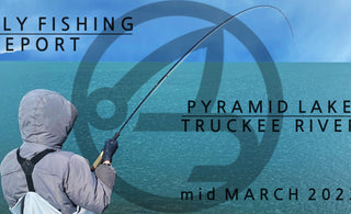 Fly fishing report | Pyramid lake and truckee river | mid march 2023 | SA INTEGRATED SWITCH FLY LINE AVAILABLE NOW