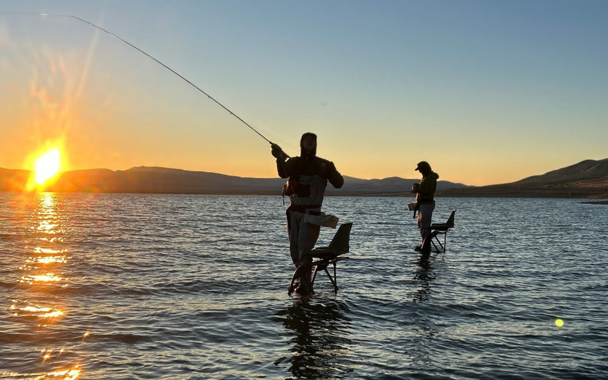 Fly Fishing Report | Pyramid Lake, Truckee River and area Stillwaters | mid October 2025