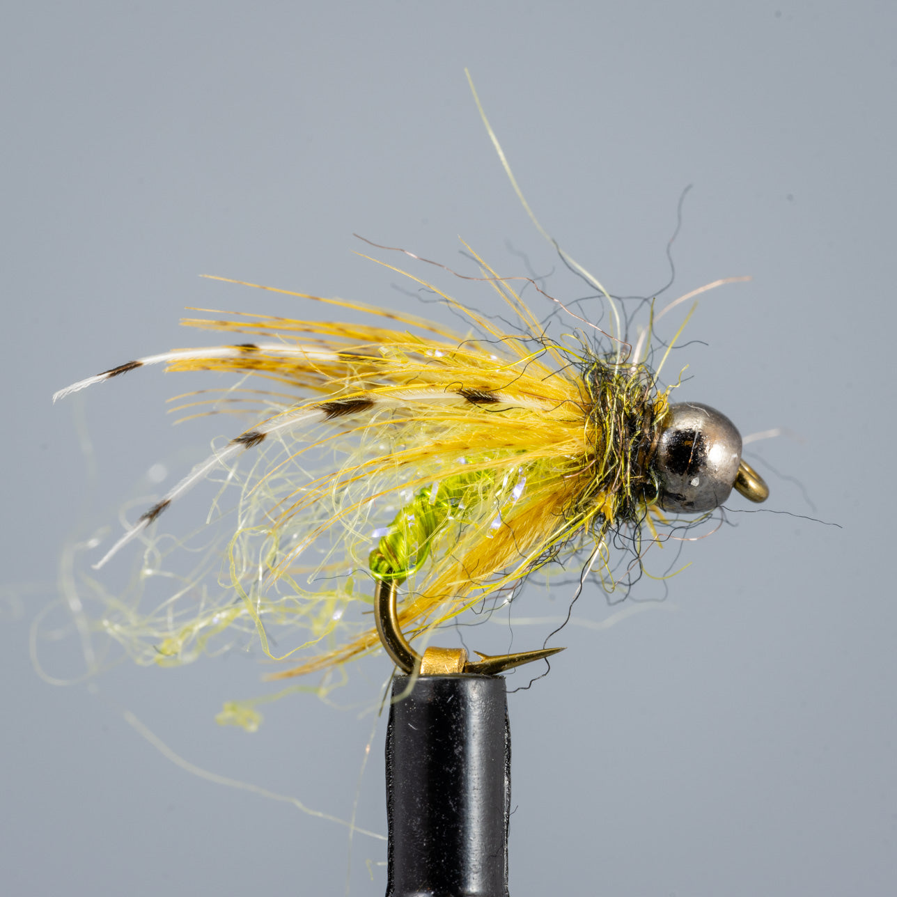 caddis fly fishing lure OCD Caddis Nymph Fly – Reno Fly Shop
