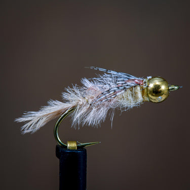 Gilled Nymph