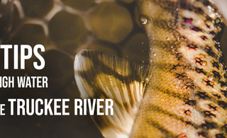 5 TIPS FOR FLY FISHING HIGH WATER