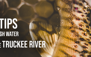 5 TIPS FOR FLY FISHING HIGH WATER