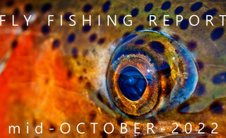 Fly Fishing Report | Pyramid Lake and the Truckee River | mid October 2022
