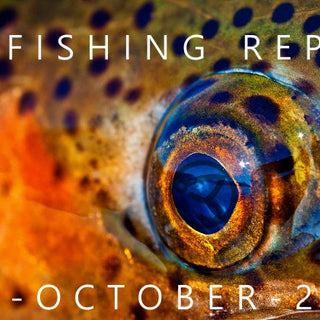 Fly Fishing Report | Pyramid Lake and the Truckee River | mid October 2022