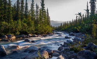 Fly Fishing Report | Truckee River and other waters | mid July 2025 | Fly Fishing classes every Saturday through August