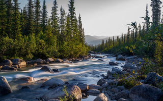 Fly Fishing Report | Truckee River and other waters | mid July 2025 | Fly Fishing classes every Saturday through August