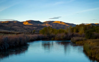 Fly Fishing Report | Pyramid Lake and Truckee River | end October 2025 | NEW Pyramid Lake Patch Hats