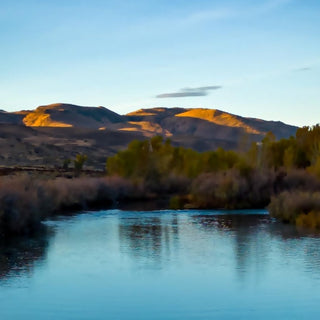 Fly Fishing Report | Pyramid Lake and Truckee River | end October 2025 | NEW Pyramid Lake Patch Hats