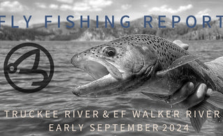 Fly Fishing Report | Truckee River and EF Walker River | early September 2024
