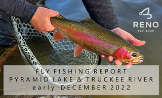 Fly Fishing Report | Pyramid Lake and Truckee River | early December | Fly Tying Class - CXI Special and a GT Fly