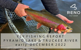 Fly Fishing Report | Pyramid Lake and Truckee River | early December | Fly Tying Class - CXI Special and a GT Fly