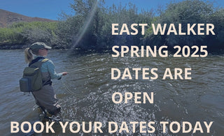 East Fork Walker River | Spring 2025 Guide Dates | Book Yours Now