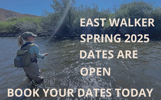 East Fork Walker River | Spring 2025 Guide Dates | Book Yours Now