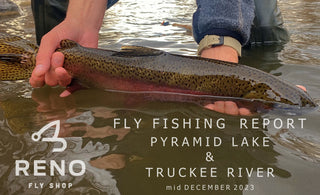 Fly Fishing Report | Pyramid Lake & Truckee River | mid December 2023 | Garmin Striker Cast ON SALE