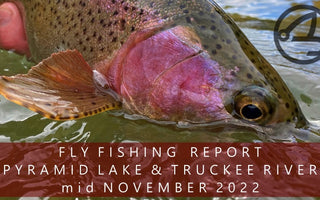 Fly Fishing Report | Pyramid Lake and the Truckee River | mid November | RFS Custom Leaders Available NOW