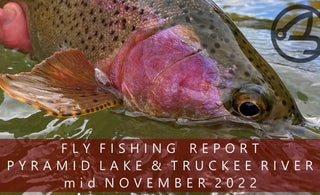 Fly Fishing Report | Pyramid Lake and the Truckee River | mid November | RFS Custom Leaders Available NOW