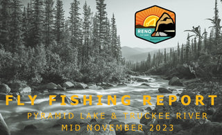 Fly Fishing Report | Pyramid Lake and Truckee River | mid November 2023