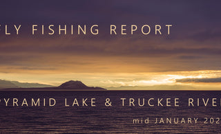 Fly Fishing Report | Pyramid Lake & Truckee River | mid January 2024