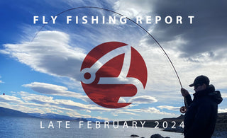FLY FISHING REPORT | PYRAMID LAKE & TRUCKEE RIVER | LATE FEBRUARY