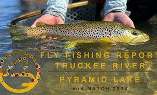 FLY FISHING REPORT | PYRAMID LAKE & TRUCKEE RIVER | mid March 2024