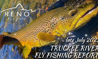 Fly Fishing Report | Truckee River | late July 2023