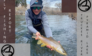 FLY FISHING REPORT | PYRAMID LAKE & TRUCKEE RIVER | MID APRIL 2024