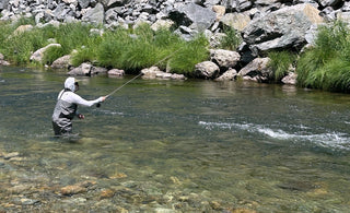 Fly Fishing Report | Truckee River | late June 2025 | NEW FF101 and FF201 added to calendar