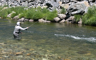 Fly Fishing Report | Truckee River | late June 2025 | NEW FF101 and FF201 added to calendar