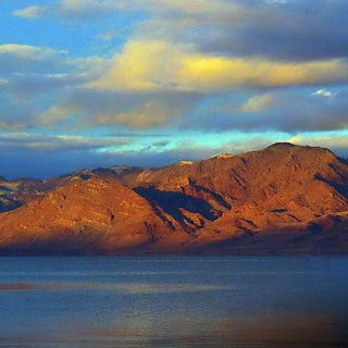 Fly Fishing Report | Pyramid Lake & Truckee River | early February