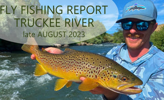 Fly Fishing Report | Truckee River | late August