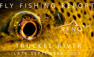 Fly Fishing Report | Truckee River | Shop News/Happenings