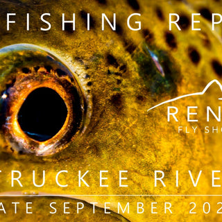 Fly Fishing Report | Truckee River | Shop News/Happenings
