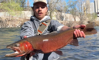 On-the-Water Report | Truckee River and Pyramid Lake | end of March 2026 | NEW Fly Fishing Classes are available starting in May