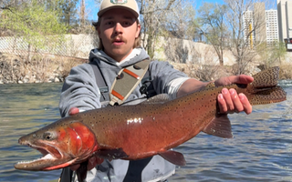 On-the-Water Report | Truckee River and Pyramid Lake | end of March 2026 | NEW Fly Fishing Classes are available starting in May