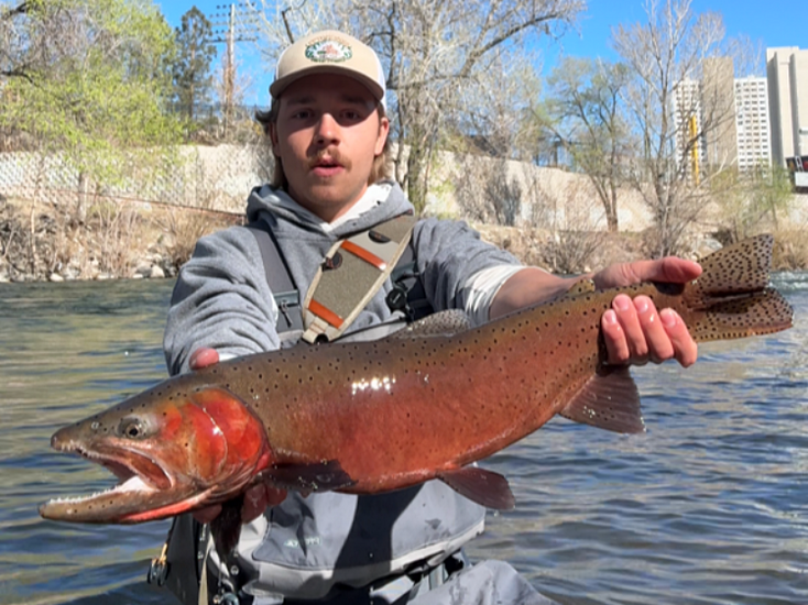 On-the-Water Report | Truckee River and Pyramid Lake | end of March 2026 | NEW Fly Fishing Classes are available starting in May