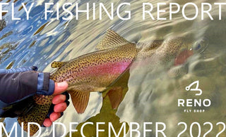 Happy Holidays | Fly Fishing Report | Pyramid Lake | mid December 2022 | Holiday Gift Ideas