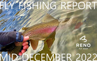 Happy Holidays | Fly Fishing Report | Pyramid Lake | mid December 2022 | Holiday Gift Ideas
