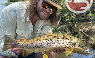Fly Fishing Report | Truckee River | mid June 2024