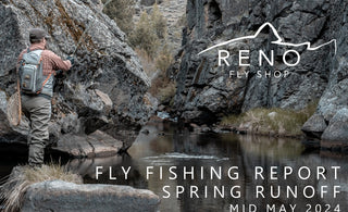 FLY FISHING REPORT | TRUCKEE RIVER | MID MAY 2024 | ANNOUNCING SUMMER CLASS SCHEDULE