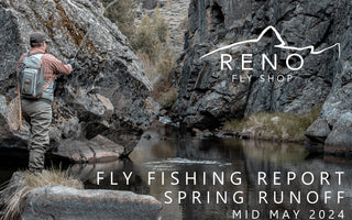 FLY FISHING REPORT | TRUCKEE RIVER | MID MAY 2024 | ANNOUNCING SUMMER CLASS SCHEDULE