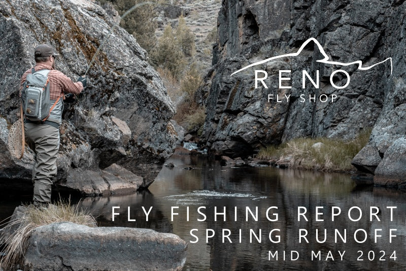 FLY FISHING REPORT | TRUCKEE RIVER | MID MAY 2024 | ANNOUNCING SUMMER CLASS SCHEDULE
